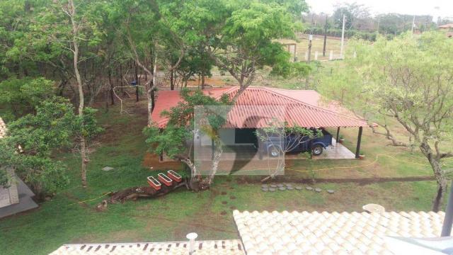 Chácara com 3 dormitórios à venda, 20000 m² por r$ 1.350.000,00 - centro - chapada dos gui - Foto 6