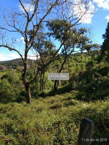 Fazenda - Foto 3