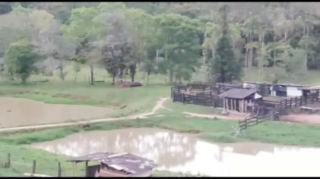 Chácara para venda em campina grande do sul, barra da cruz - Foto 6