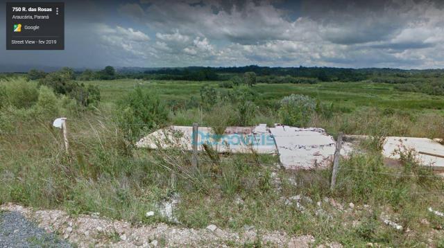 Área à venda, 9087 m² por r$ 1.740.000,00 - campina da barra - araucária/pr - Foto 11