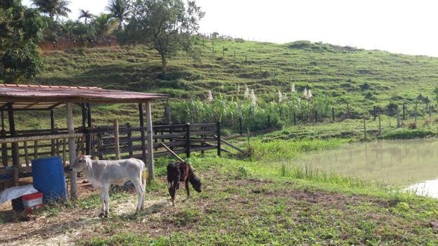 Mini fazenda em Guarapari - Foto 2