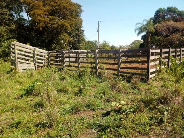 Chácara (38 hectares) a 11 km de Acorizal - Foto 18
