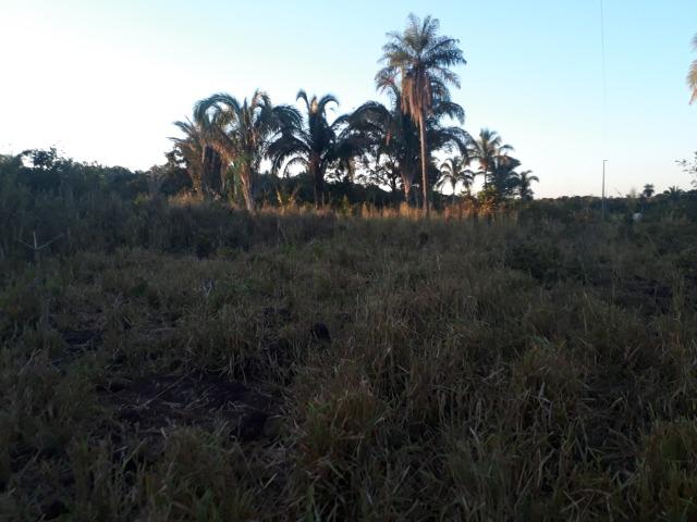 Chácara (38 hectares) a 11 km de Acorizal - Foto 5