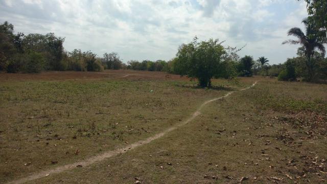 Fazenda em José de Freitas-PI - Foto 18