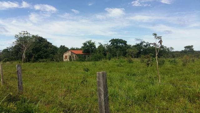 2 Sítios juntos 9 Hectares Cada 90km Cuiabá - Foto 2