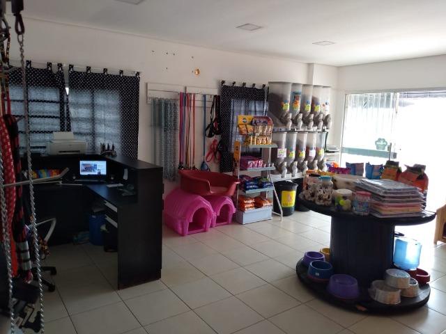Vende-se este pet shop - Foto 2