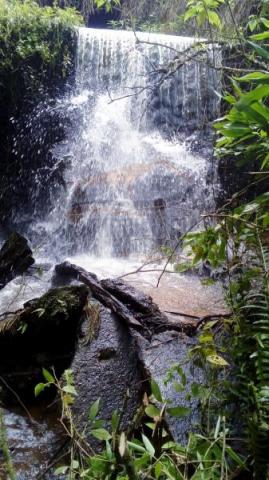 Chácara para venda em campina grande do sul, br 116