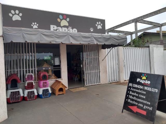 Vende-se este pet shop - Foto 8