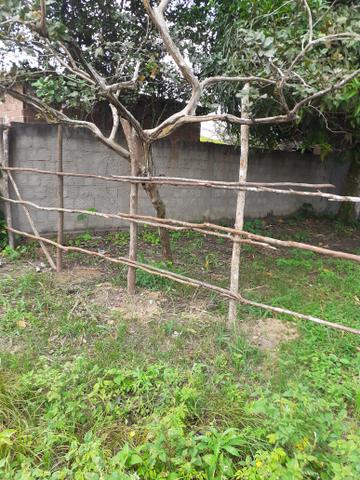 Terreno. - Foto 4