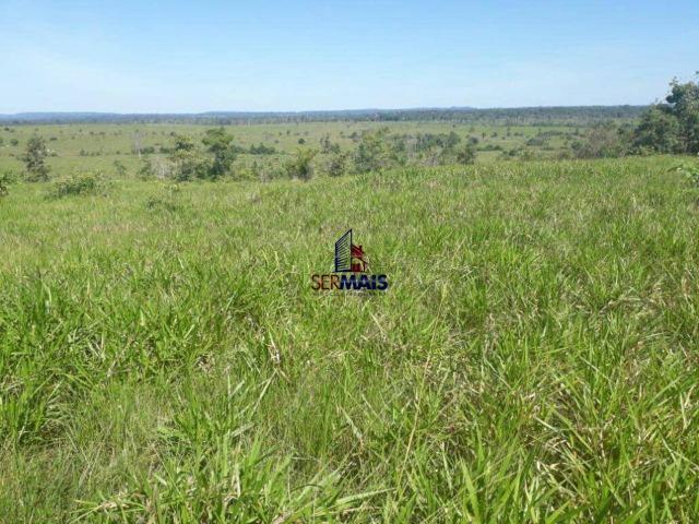 Fazenda à venda, por R$ 40.000.000 - Zona Rural - Rolim de Moura/RO - Foto 16