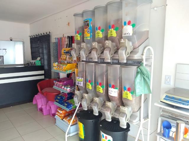 Vende-se este pet shop - Foto 6
