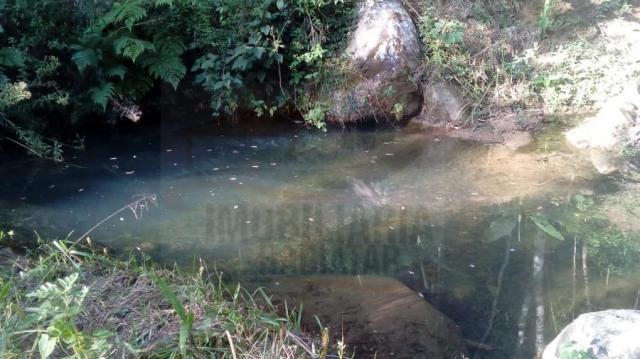 Chácara para venda em campina grande do sul, br 116 - Foto 13