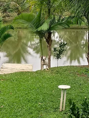 Fazenda Região de Coaraci - Foto 14