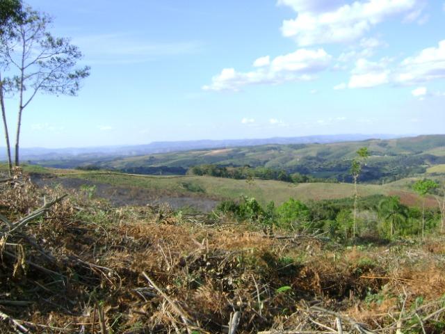 Sítio Barra Grande - 23 alqueires - Bico dos Papagaios - Prudentópolis - PR - vista linda - Foto 10