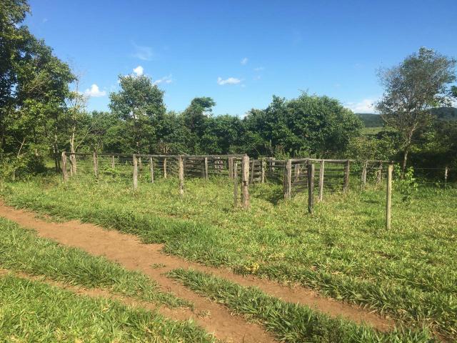 Fazenda Cesarina