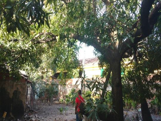 AREA - ARACAJU - Foto 5