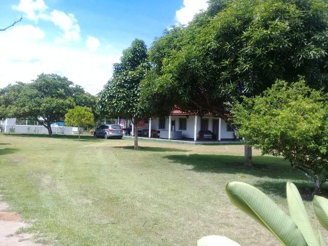 Ótima oportunidade, chácara em São Felipe-Ba, em Cond. Fechado - Foto 19