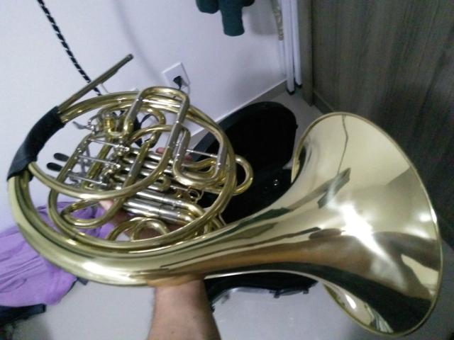 Trompa Dourada - Foto 2