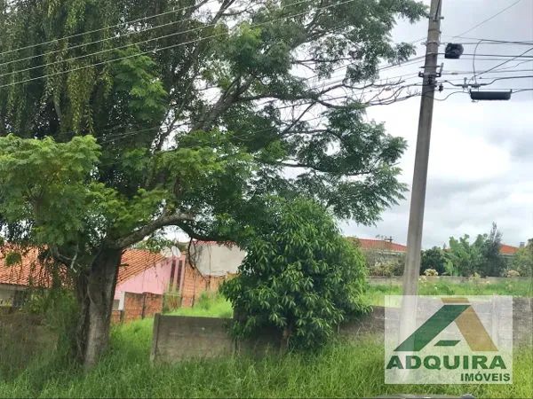 Terreno em rua - Bairro Orfãs em Ponta Grossa