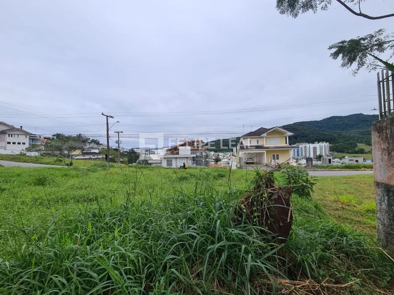 Lote / Terreno em Pedra Branca - Palhoça - Foto 13