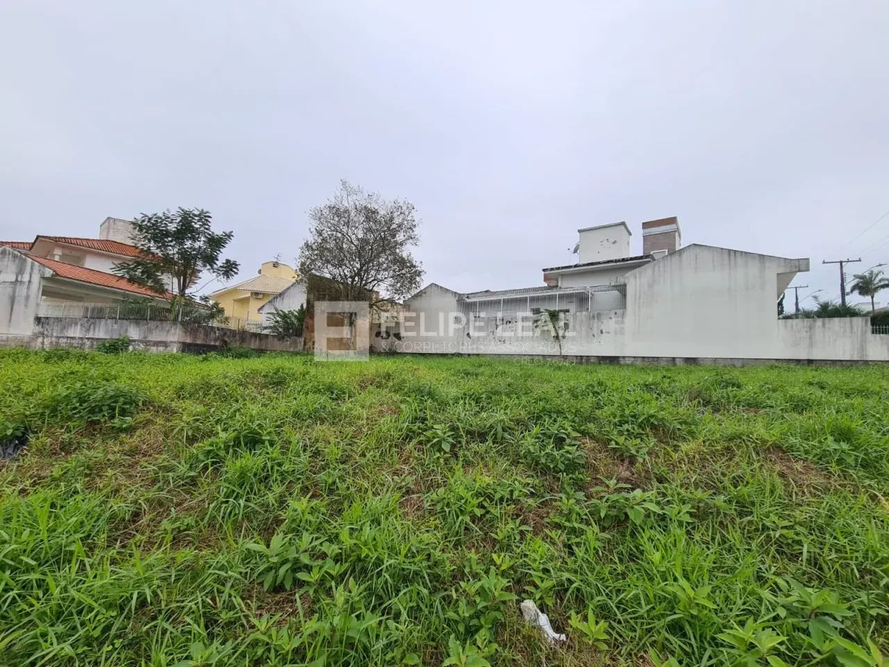 Lote / Terreno em Pedra Branca - Palhoça - Foto 8