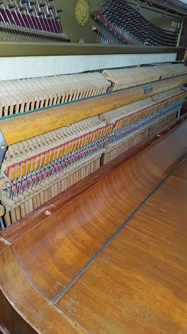Piano Brasil - Foto 3