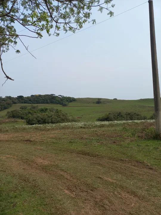 Chácara Faz. Ilhéus 2,0 Ha - Foto 2