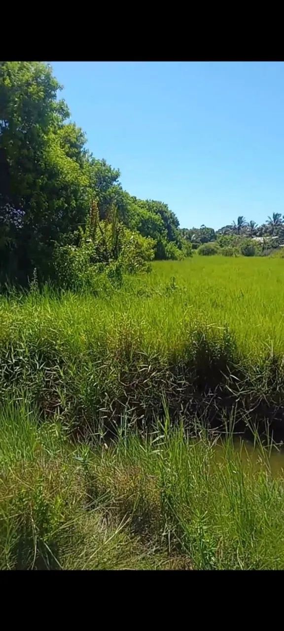 Foto - São Pedro da Aldeia - Morro do Milagre