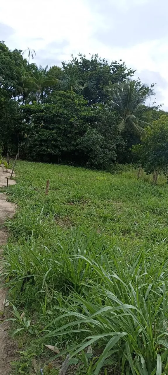 TERRENO A 400 METROS DA PRAIA
