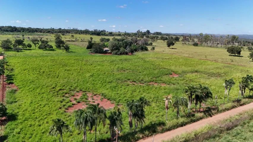 Excelente Chácara de 5.5 Hectares em Jaraguari-MS!  - Foto 4