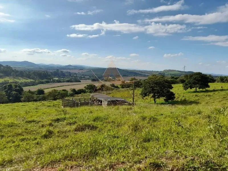 Sítio - Lavras - Centro - Foto 5
