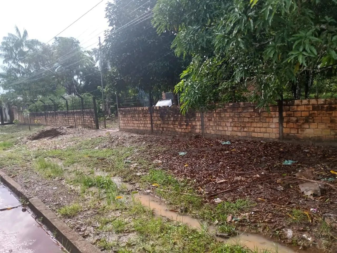 Foto - Santo Antônio do Tauá - 