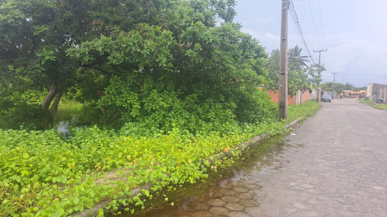 Terreno próximo ao centro de Santo Amaro