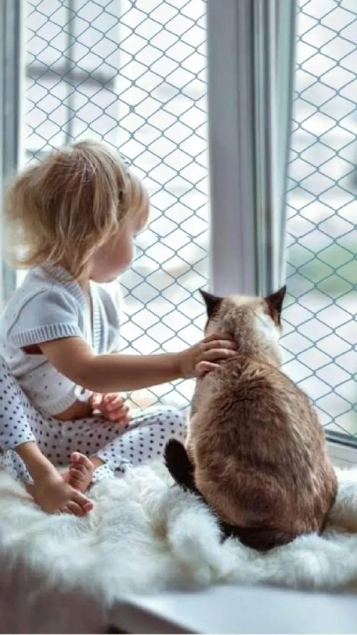 Redes de Proteção Crianças e Pets - Foto 2