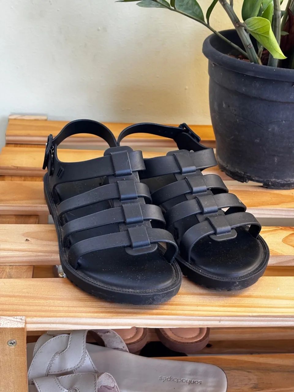 Combo 2 Melissas tamanho 34