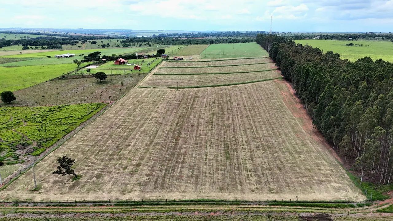 Chácara de 13 Hectares saída para Rochedinho! - Foto 2