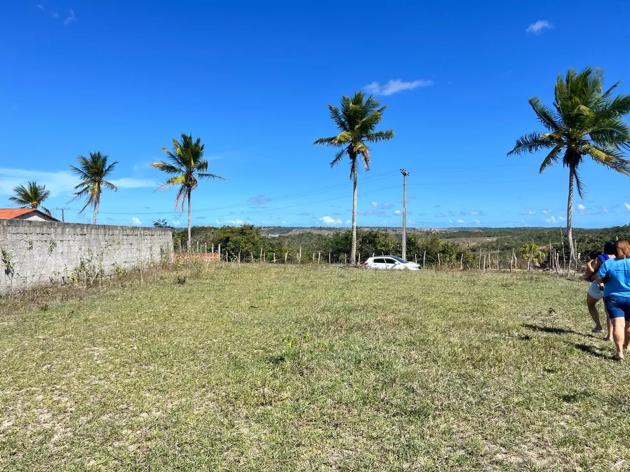 Vendo terreno para chácara em salgado povoado tombo  - Foto 4