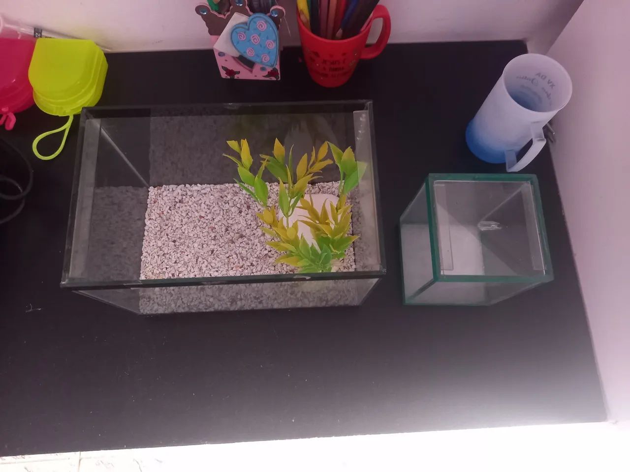 Dois Aquários para Peixes - Foto 2