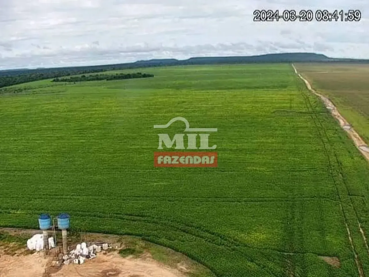 Fazenda (6.250 Hectares) Uruçuí - PI