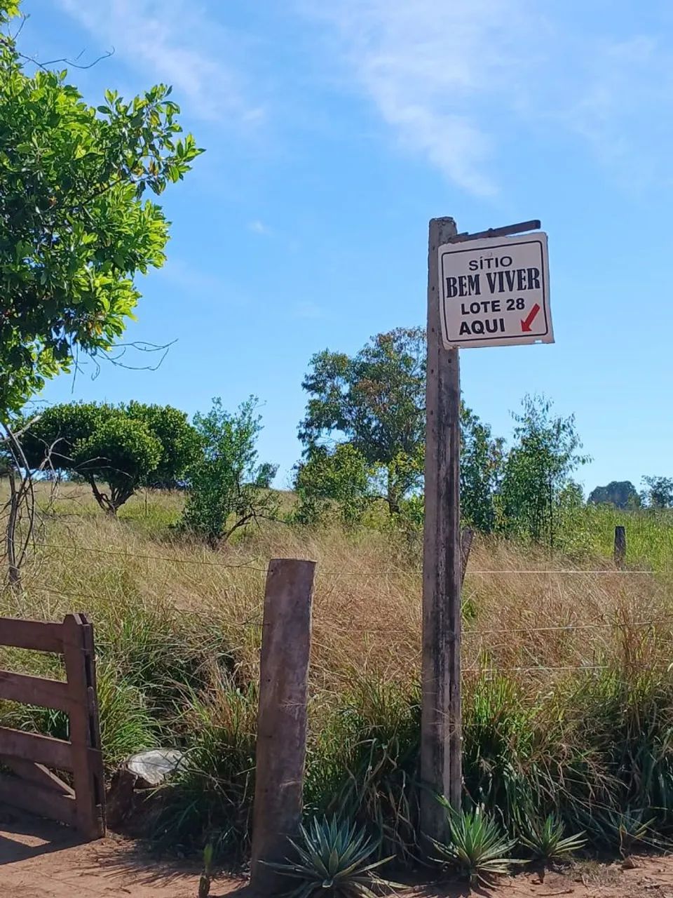 Sítio 14 Hectares próximo a São Gabriel do Oeste - Terrenos, sítios e ...