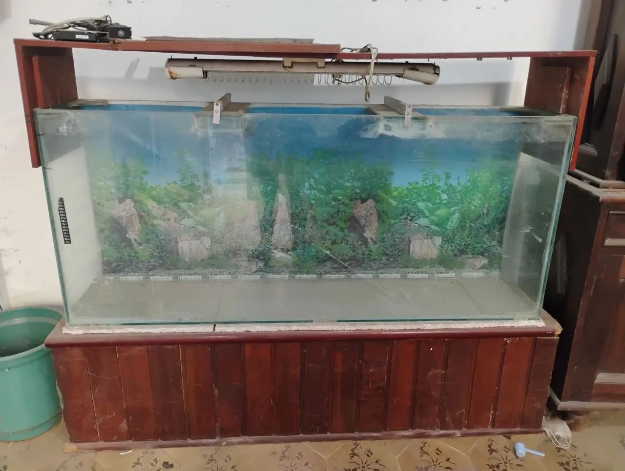 Aquário pra sair logo