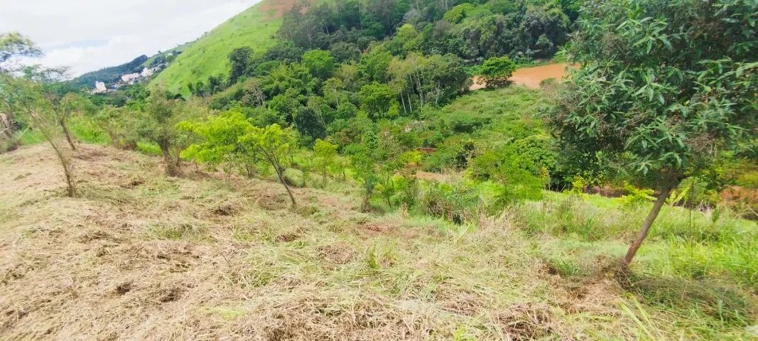 Terreno à Venda em Matias Barbosa (MG) - Foto 3