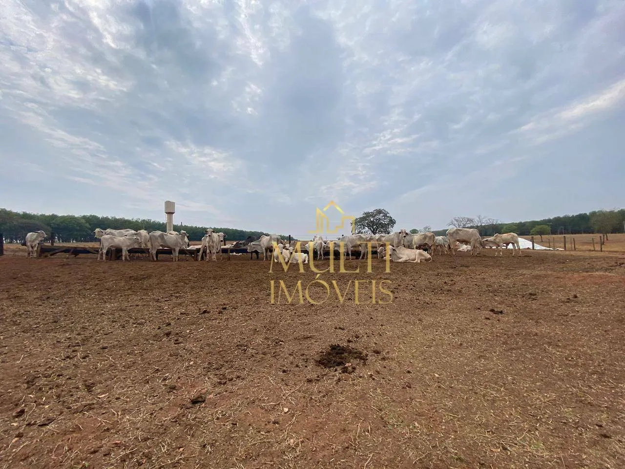 Sítio à venda, 10 alqueires por R$ 2.800.000 - Zona Rural - Nipoã/SP
