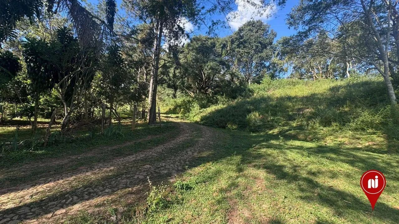 Fazenda à beira do asfalto e com água em abundância, à venda, 340000 m² por R$ 7.200.000 - - Foto 4