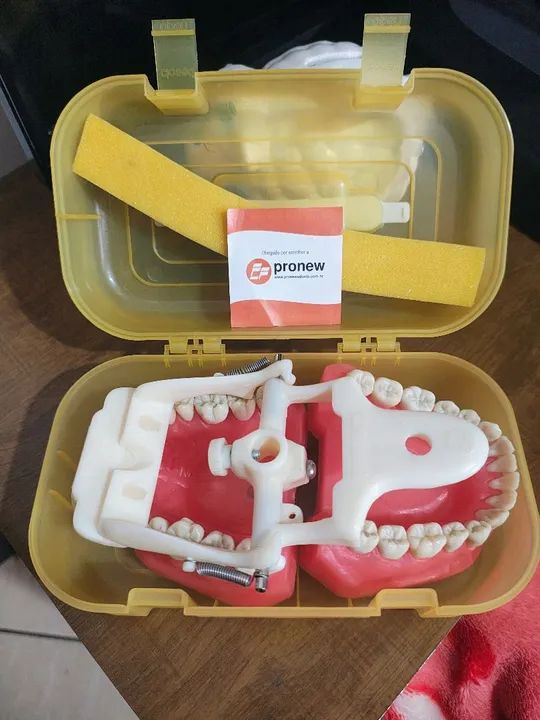modelo articulado dentista pronew - Foto 2