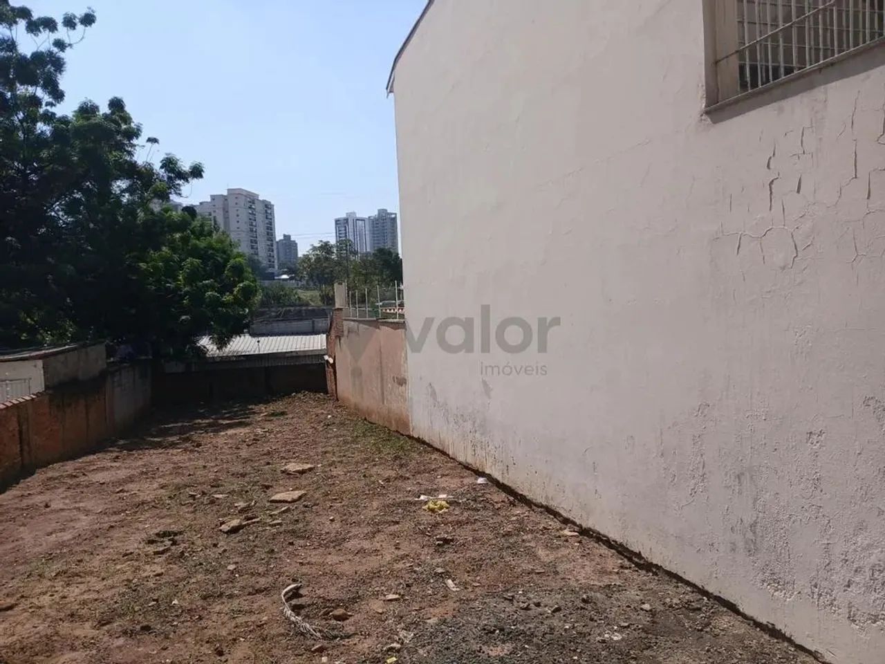 Terreno à venda em Campinas, Cambuí, com 353.3 m² - Foto 5