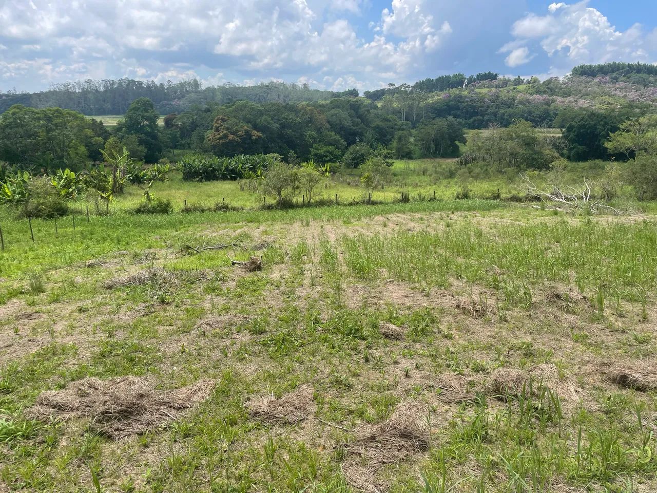 Foto - Mogi das Cruzes - Biritiba Ussu