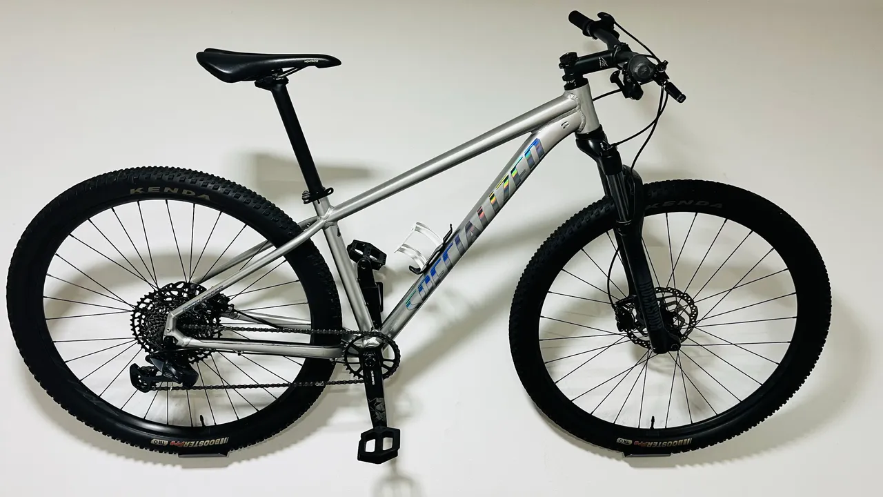 specialized expert 2019