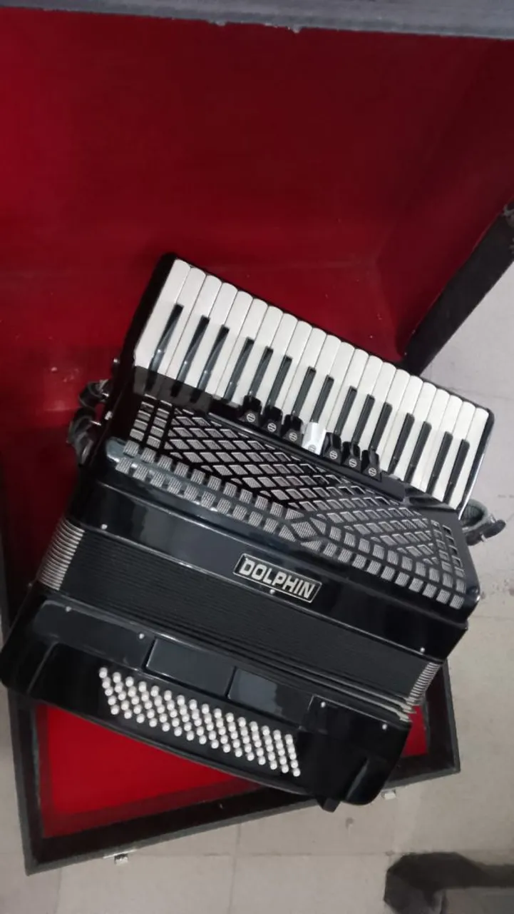 Acordeon Dolphin