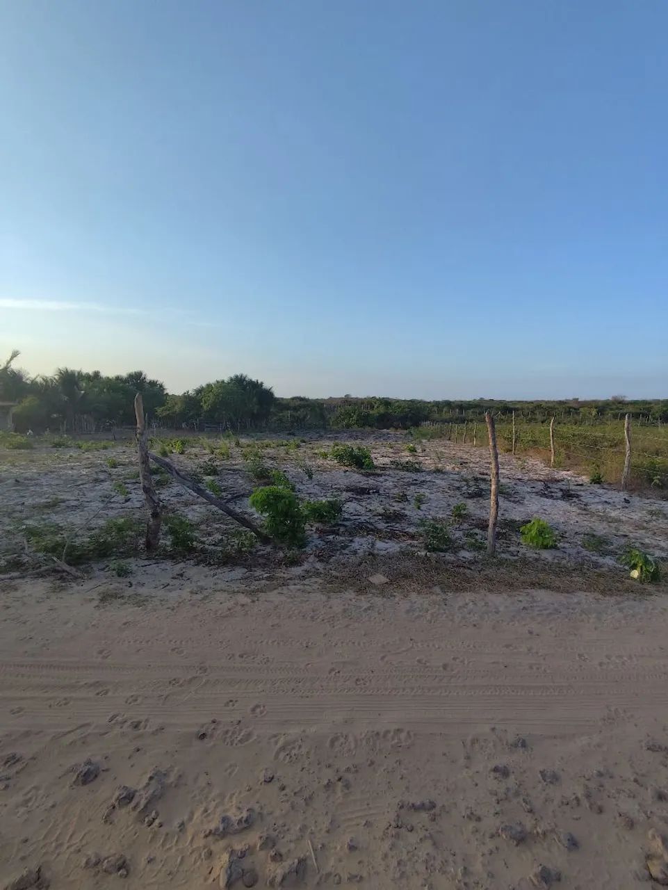 Vendo TERRENO em BARREIRINHAS-MA 